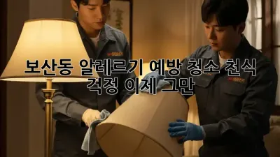 🏡 보산동 알레르기 예방 청소, 천식 걱정 이제 그만! 🤧