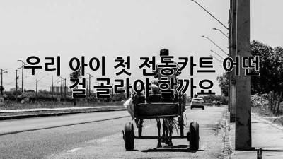 우리 아이 첫 전동카트, 어떤 걸 골라야 할까요?